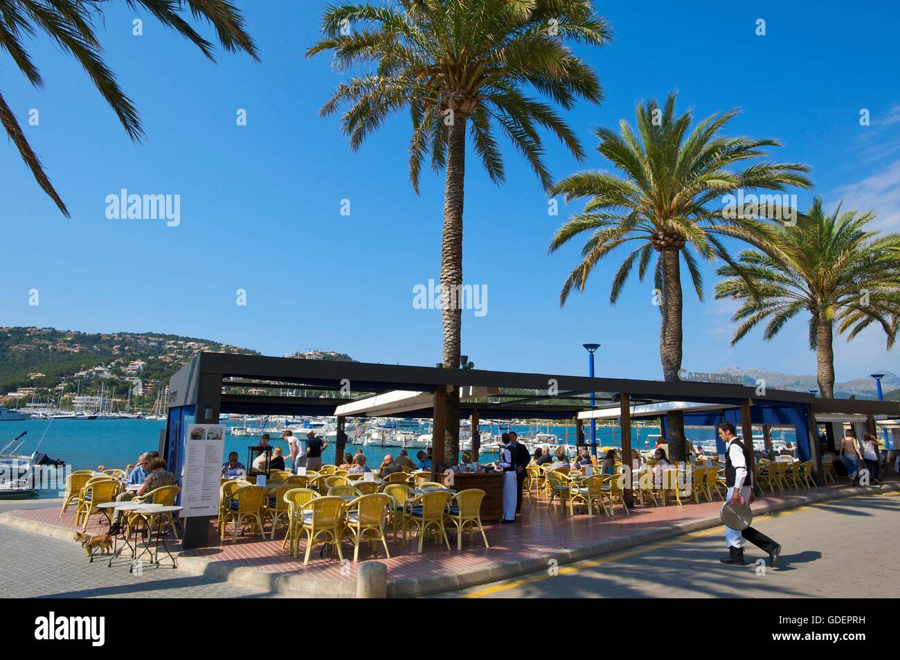 Straße Cafe in Port d Andratx, Mallorca, Mallorca, Balearen, Spanien Stockfoto