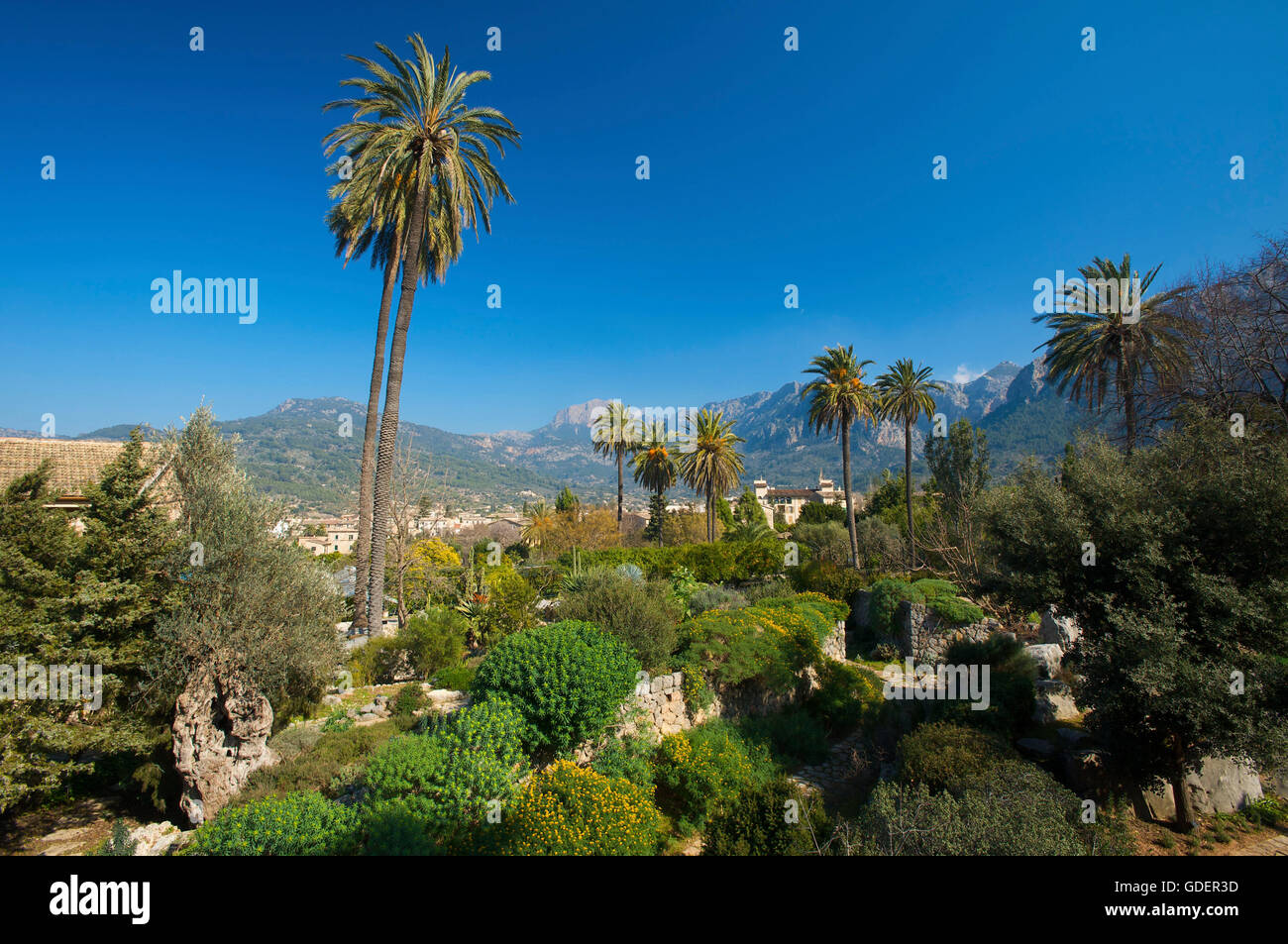 Botanischer Garten Von Soller Serra De Tramuntana Mallorca