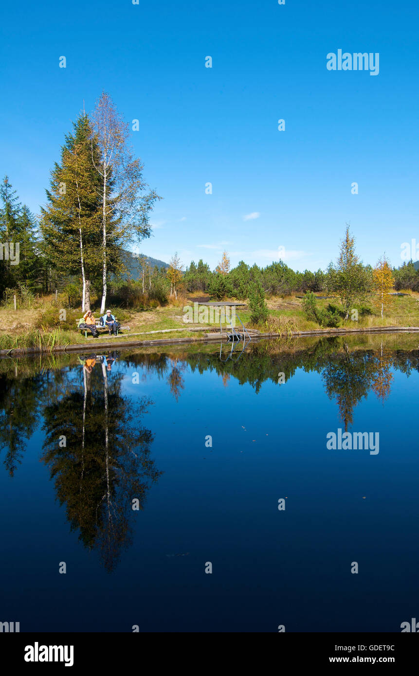 Moorlandschaft in der Nähe von Oberjoch, Allgäu, Bayern, Deutschland Stockfoto