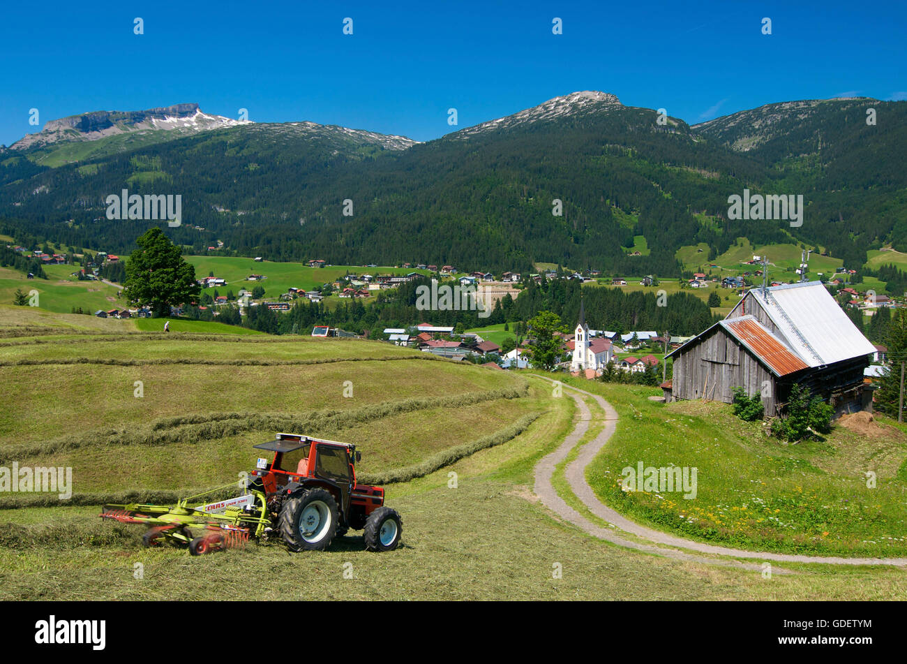 Heuernte in Riezlern, Kleinwalsertal Tal, Allgäu, Vorarlberg, Österreich Stockfoto