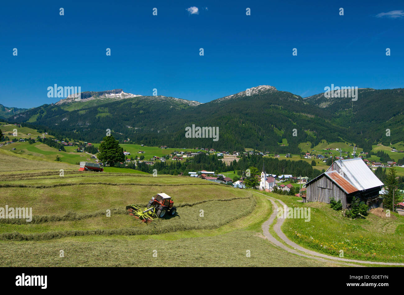 Heuernte in Riezlern, Kleinwalsertal Tal, Allgäu, Vorarlberg, Österreich Stockfoto
