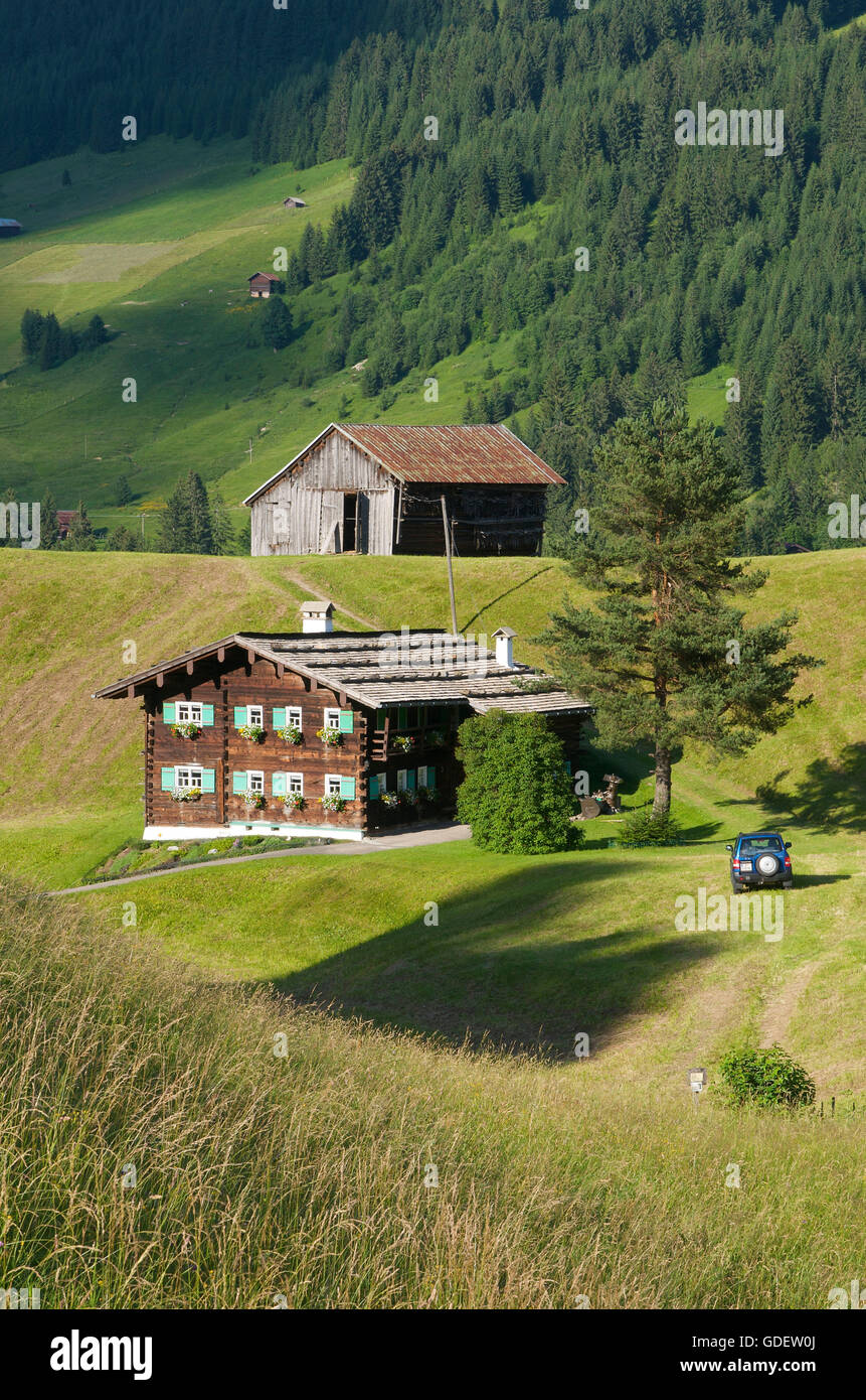 Traditionelle Bauernhäuser, Kleinwalsertal Tal, Allgäu, Vorarlberg, Österreich Stockfoto