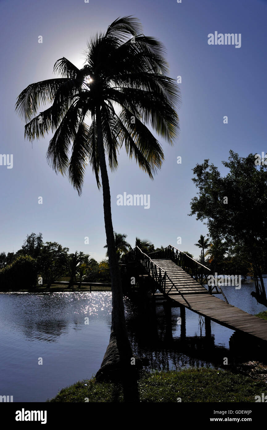 Hotel Villa Guama, Parque National de Zapata, Kuba / Zapata Nationalpark Stockfoto