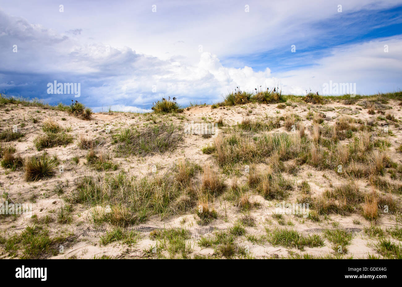 Sandhügel Stockfoto