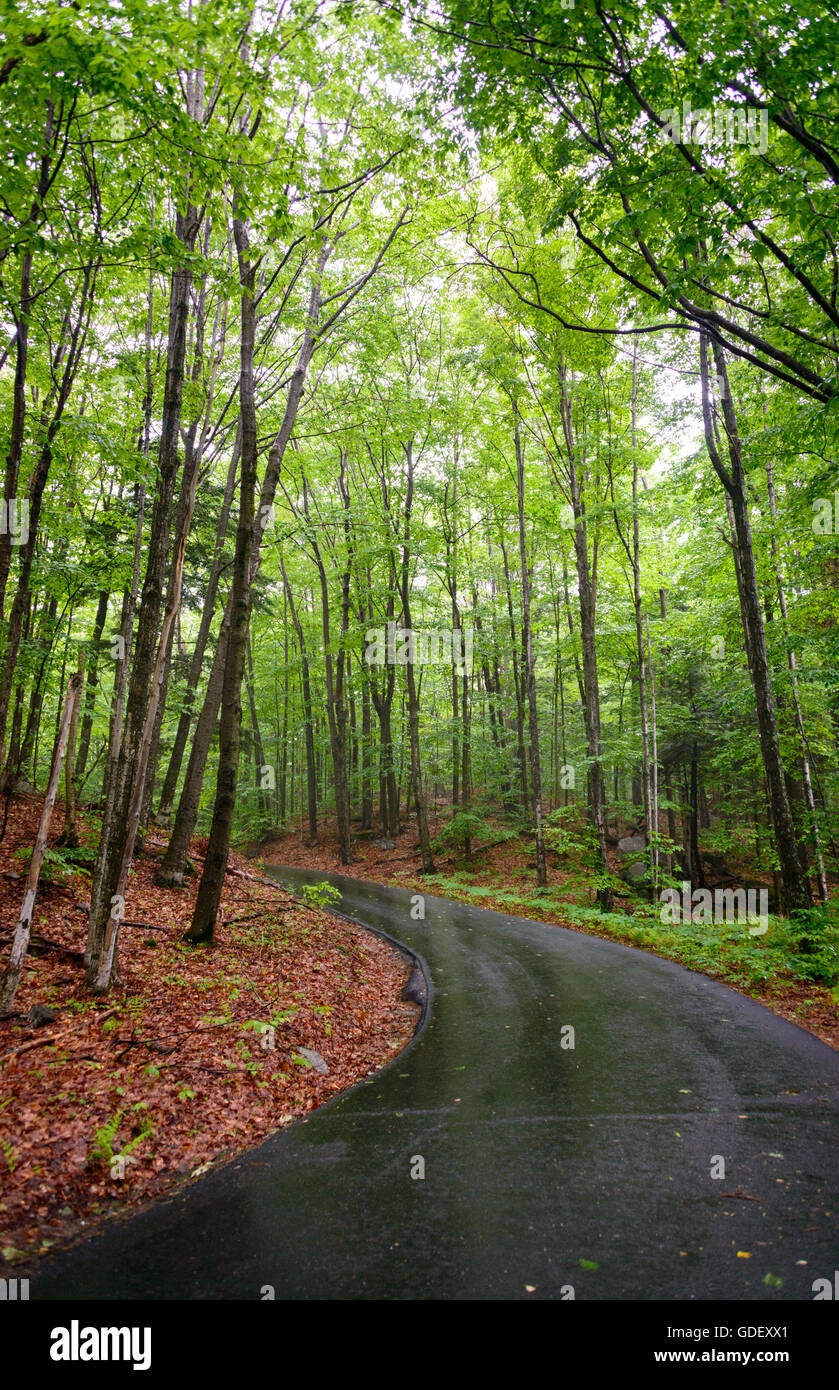 Franconia Notch State Park Stockfoto
