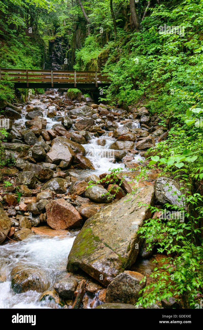 Franconia Notch State Park Stockfoto