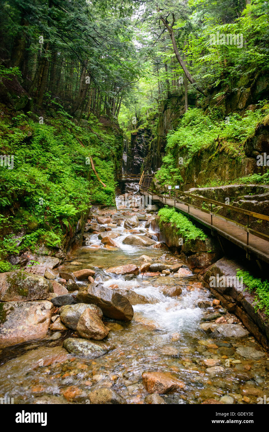Franconia Notch State Park Stockfoto