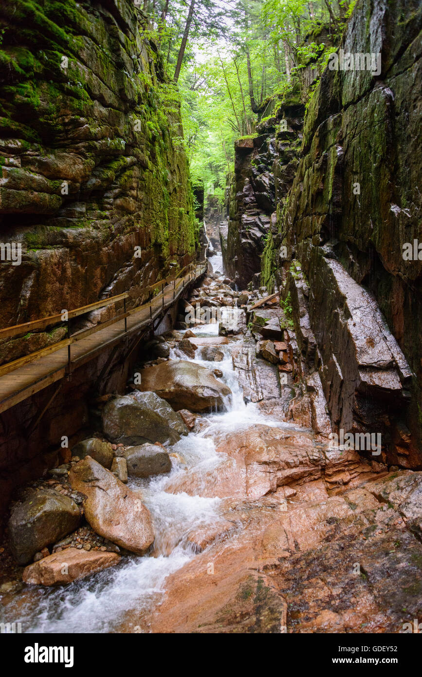 Franconia Notch State Park Stockfoto