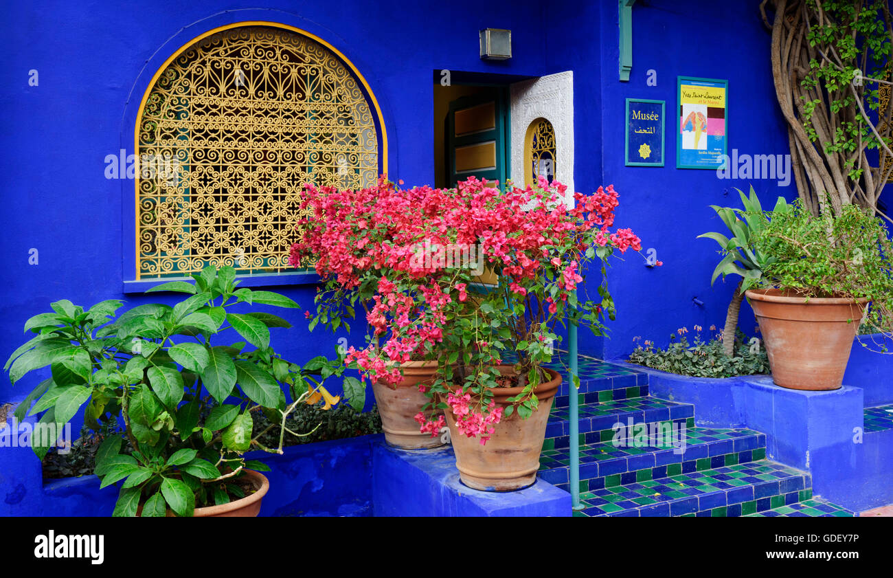 Marokko, Afrika, Botanischer Garten Jardin Majorelle Marrakech Stockfoto