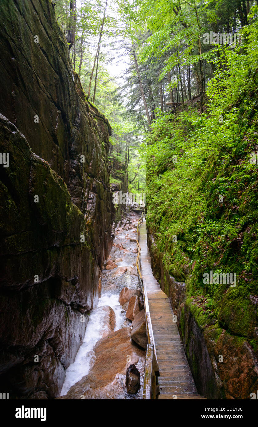 Franconia Notch State Park Stockfoto