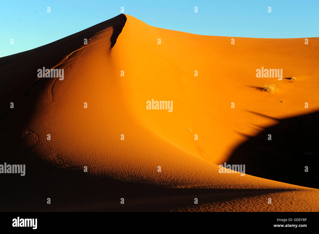 Marokko, Afrika, Wüste Erg Chebbi, Dünen, Stockfoto
