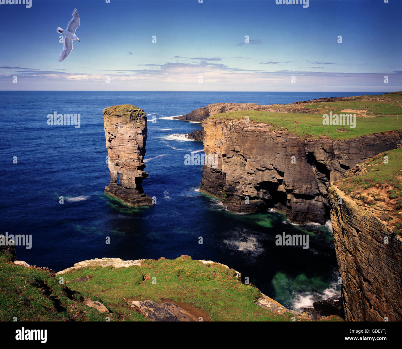 GB - Schottland: Küste bei Yesnaby auf Orkney Festland Stockfoto
