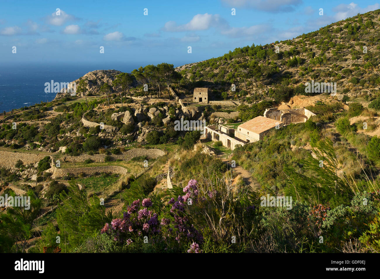 Klosters Sa Trapa in der Nähe von Sant Elm, Mallorca, Balearen, Spanien Stockfoto