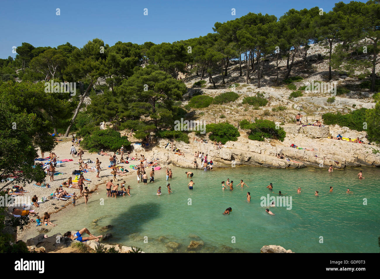 Calanque de Port-Pin, Cassis, Cote d ' Azur, Frankreich Stockfoto