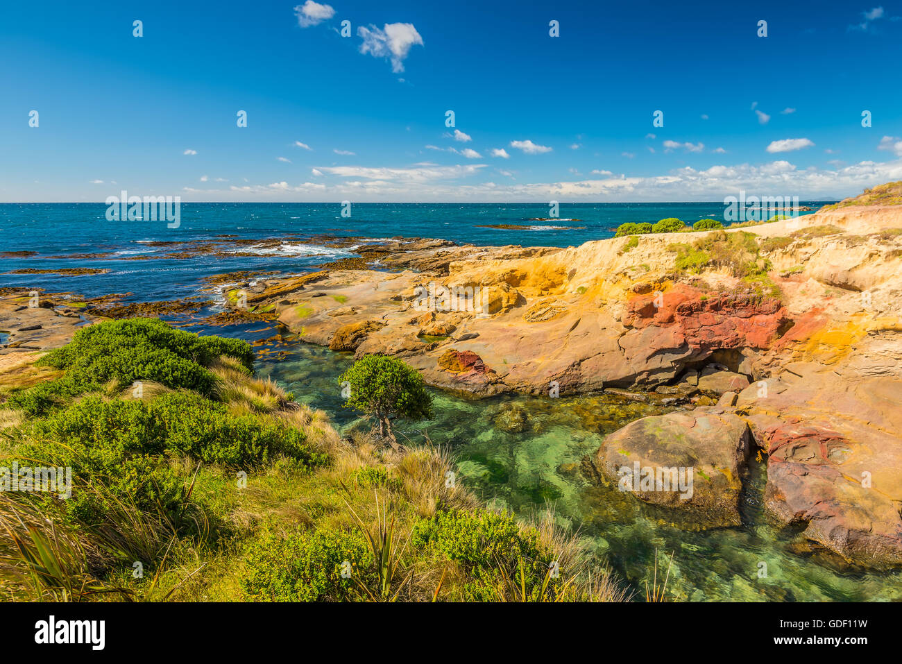 New Zealand bunte Küste Landschaft mit Robben in Otago Region Südinsel Neuseeland Stockfoto