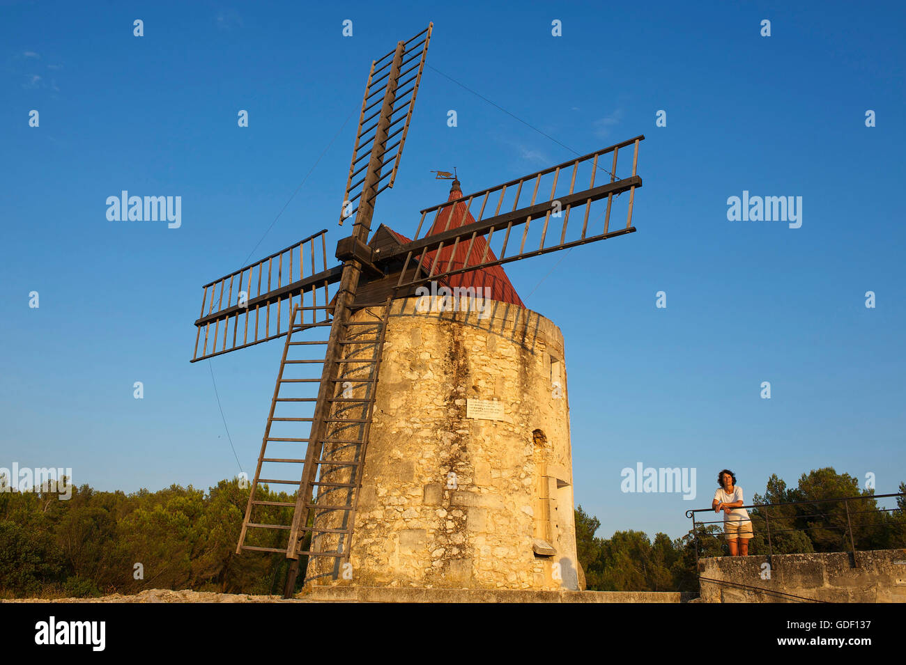 Alphonse Daudet in der Nähe von Fontvieille, Provence Alpes Cote d ' Azur, Frankreich Herr Windmühle Stockfoto