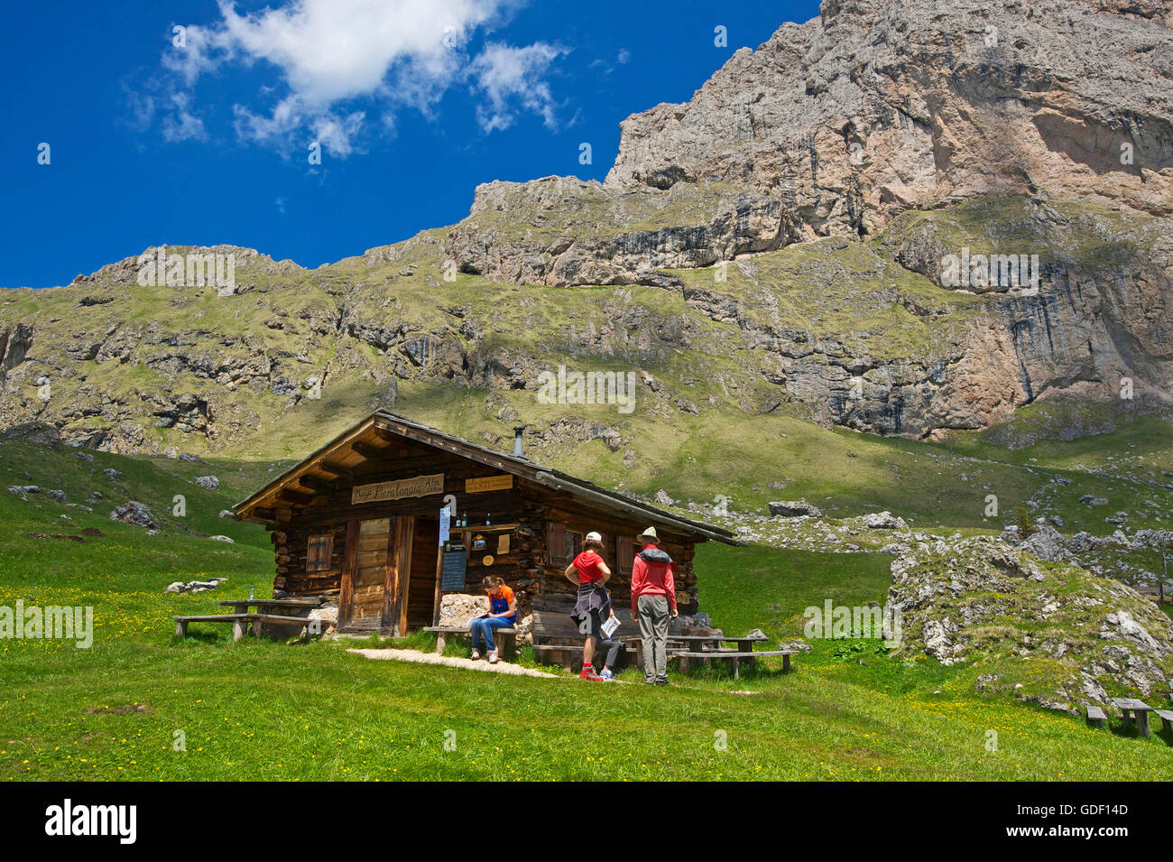Wandern, Seceda, Dolomiten, Trentino, Südtirol, Italien Stockfoto