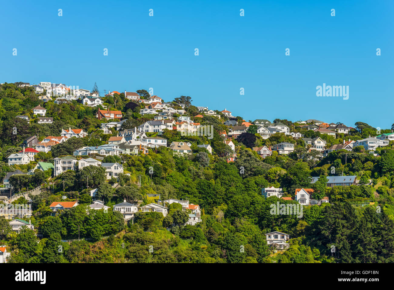 Bunte Häuser in Wellington, Neuseeland. Wellington ist die Hauptstadt und zweitgrößte Stadtregion von Neuseeland. Stockfoto