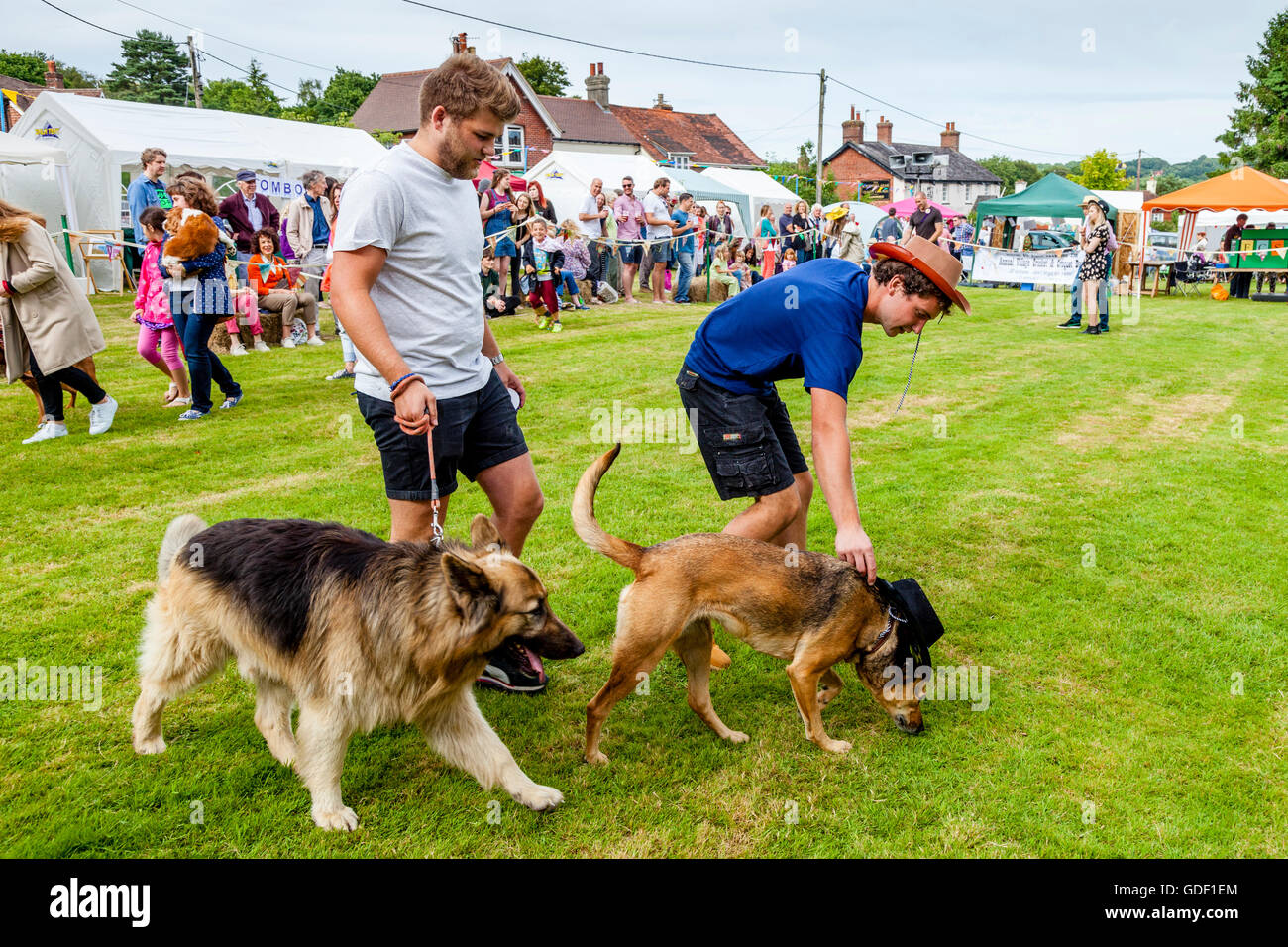 Menschen und ihren Haustieren nehmen Teil In einer traditionellen Hundeausstellung in Fairwarp Dorffest, Fairwarp, East Sussex, UK Stockfoto