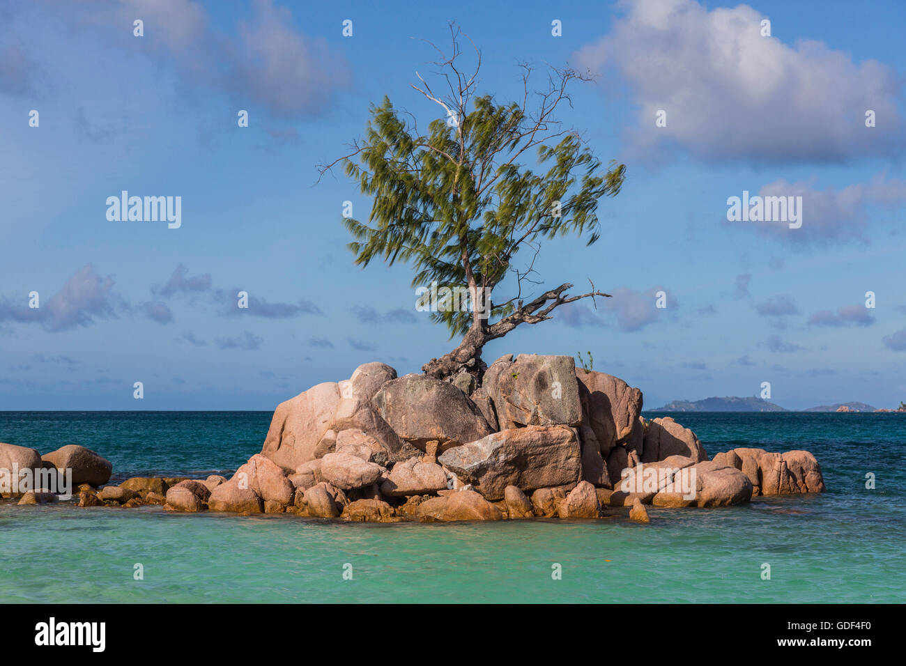 Granitfelsen, Anse Boudin, Praslin, Seychellen Stockfoto