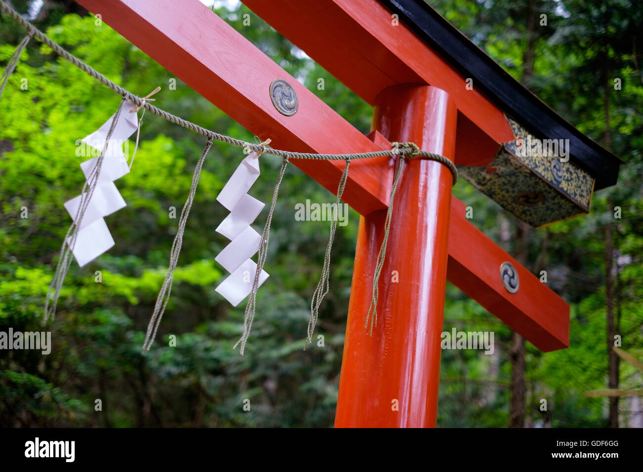 Eine rote Tori Tor bei einem Shinto-Schrein in Nikko, Japan. Stockfoto