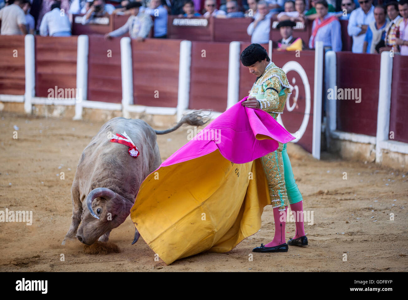 Stierkämpfer Manuel Jesus El Cid Stierkampf mit der Krücke in der Stierkampfarena von Ubeda, Spanien Stockfoto