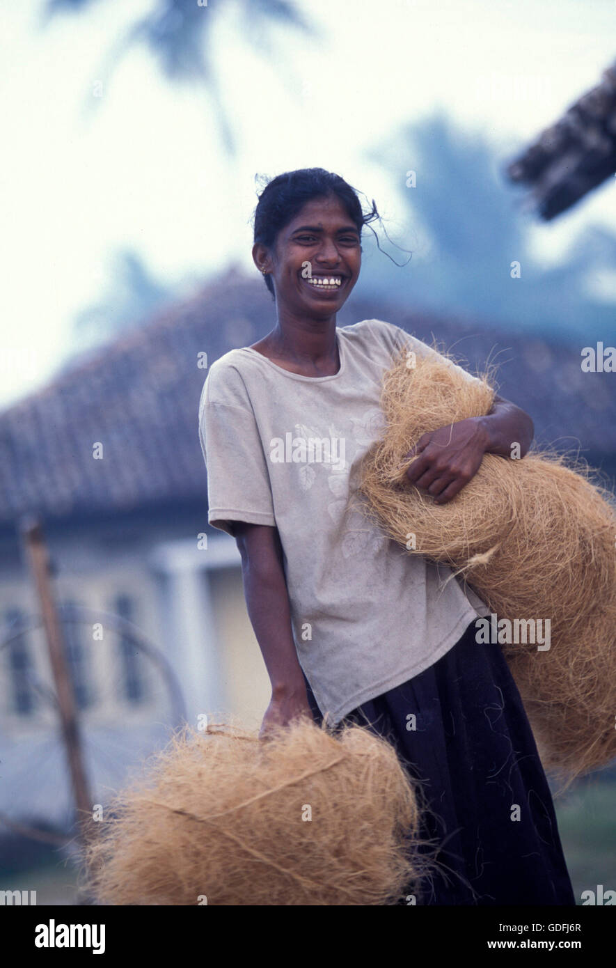 Frauen am Arbeitsplatz in der Nähe von der Stadt von Hikkaduwa im Südwesten von Sri Lanka in Asien. Stockfoto