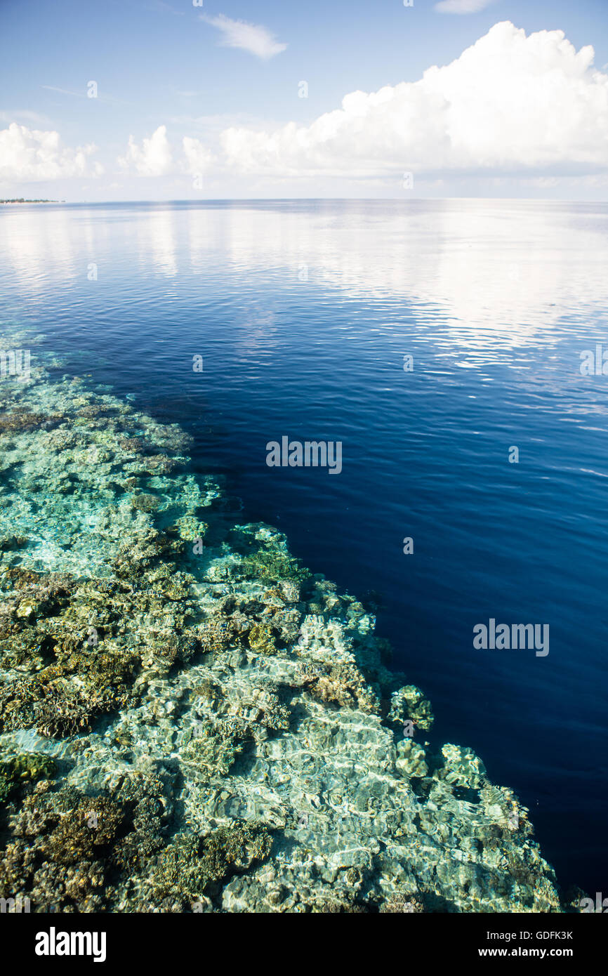 Ruhiges Wasser deckt eine dramatische Korallenriff Drop off in Wakatobi Nationalpark, Indonesien. Stockfoto