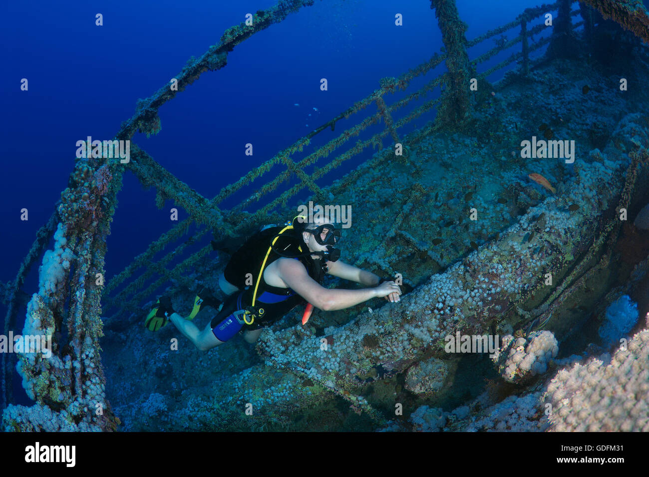 Männlichen Taucher am Wrack der Numidia, Big Brother Reef, Brother Islands, Rotes Meer, Ägypten Stockfoto