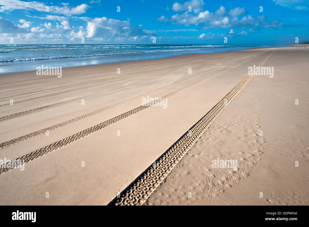 Bremsspuren Sie auf siebzig fünf Meile Strand am berühmten Fraser Island. Stockfoto