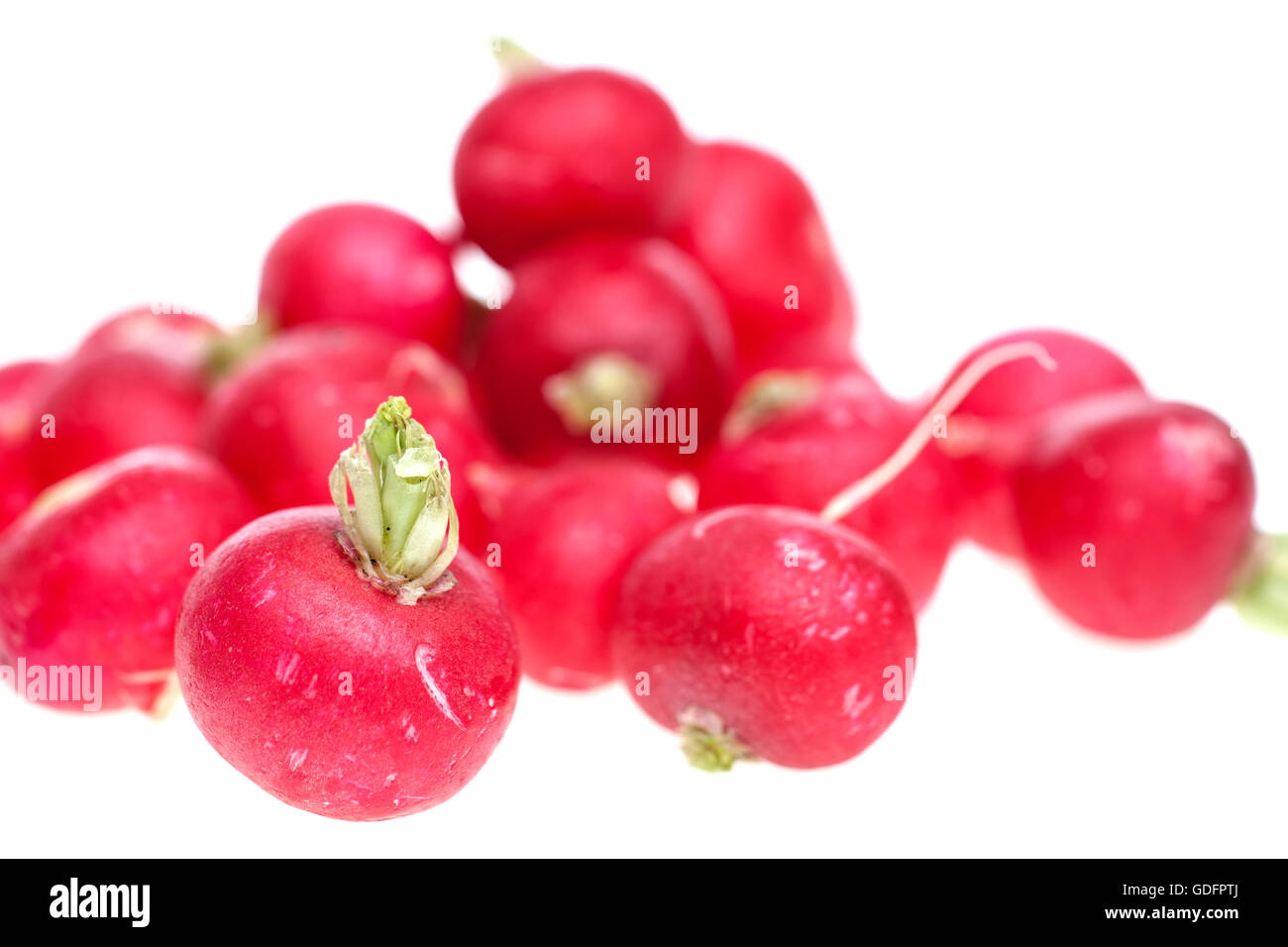 Haufen von runden Radieschen Stockfoto