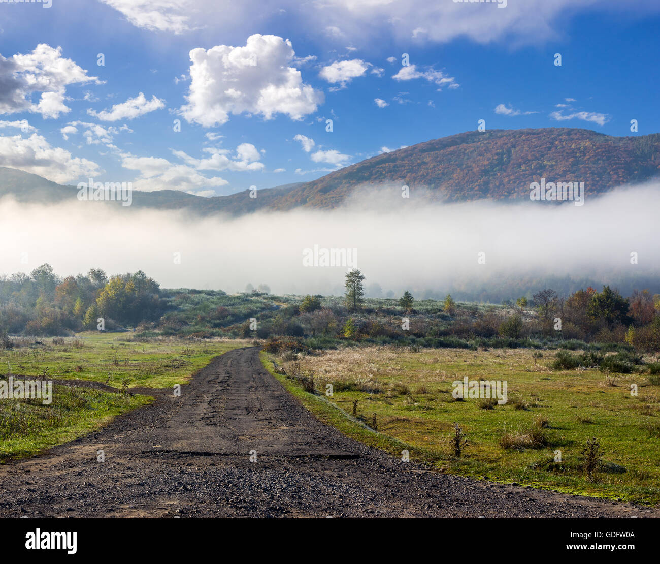 alte Risse Straße durch die Wiese in der Nähe von einigen Bäumen und Wald im nebligen Berge im Morgenlicht Stockfoto