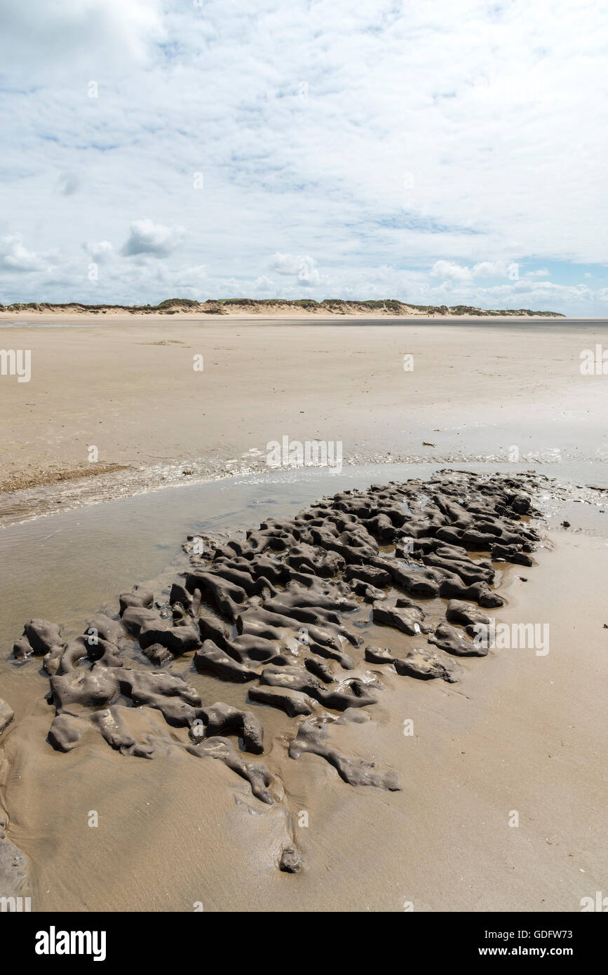 Schlammbank am Strand von Formby Punkt, Merseyside, Nordwesten Englands. Stockfoto