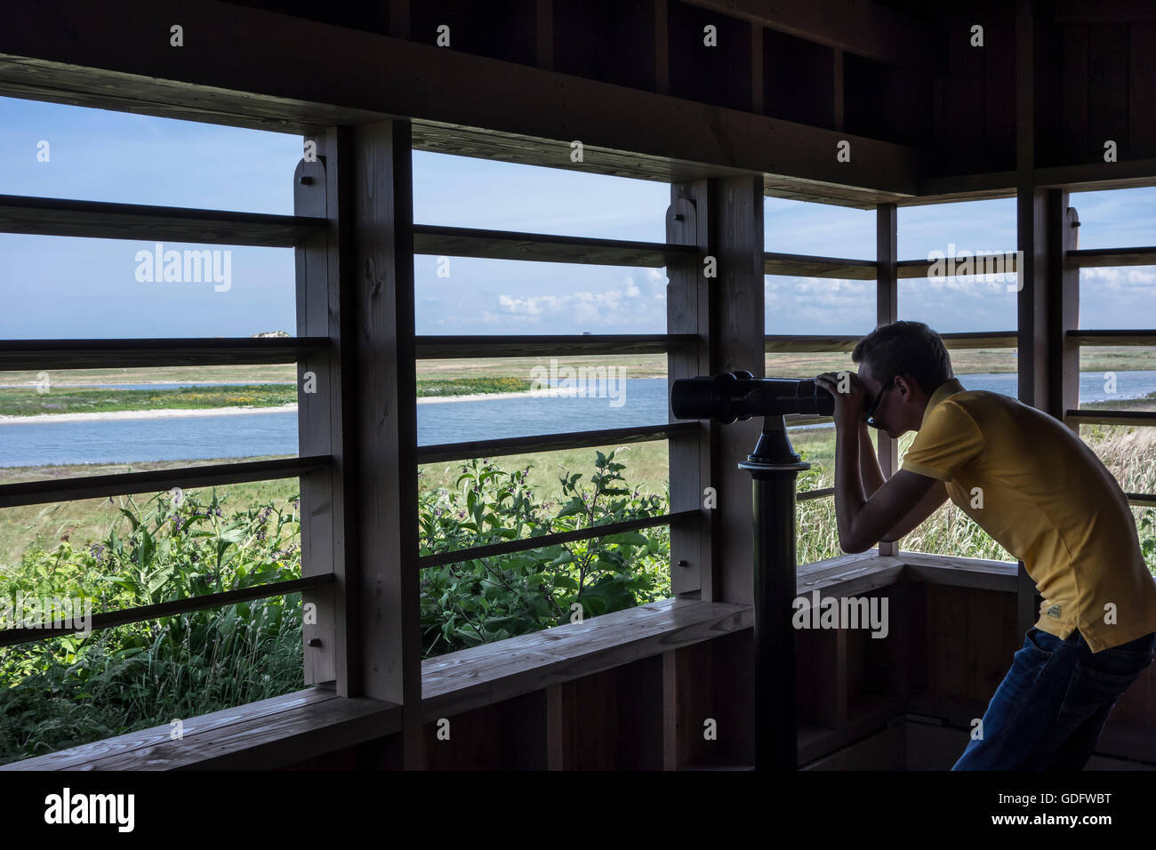 Besucher mit montierten Fernglas aus Birdhide, Naturpark Zwin, Vogelschutzgebiet in Knokke-Heist, Flanders, Belgien Stockfoto
