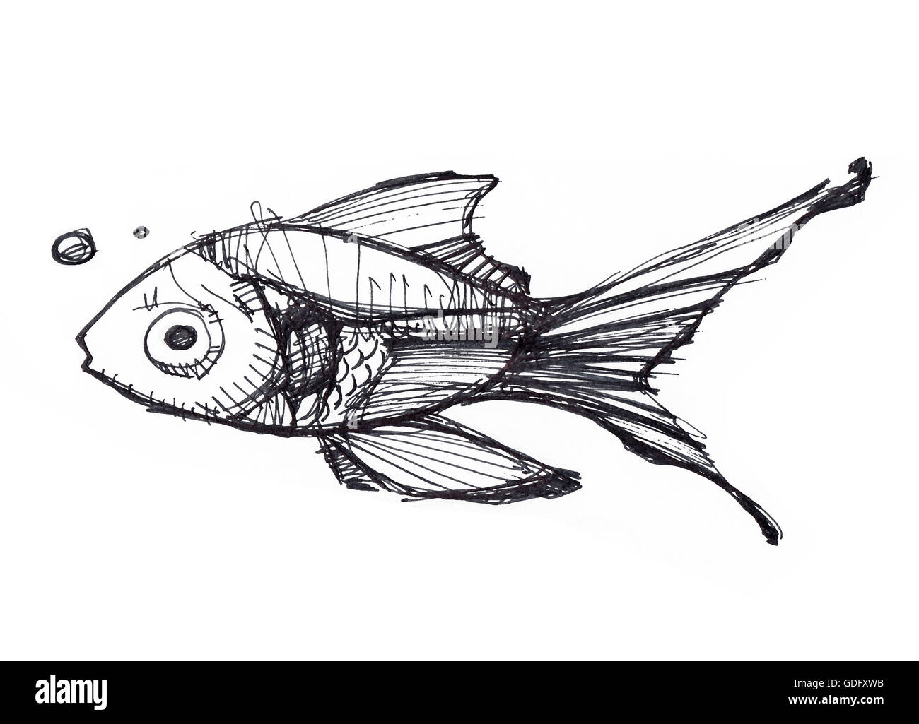 Handgezeichnete Illustrationen oder Zeichnung von einem schwimmenden Fischen Stockfoto