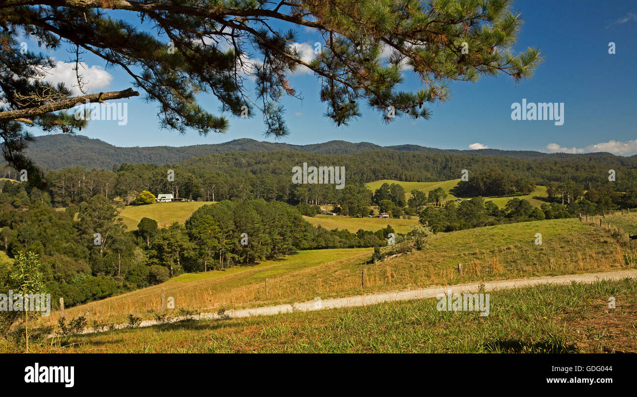 Spektakulären Panoramablick auf sanften Hügeln mit goldenen Wiesen von Bauernhöfen gesäumt von bewaldeten Hügeln der Great Dividing Range NSW Australia Stockfoto