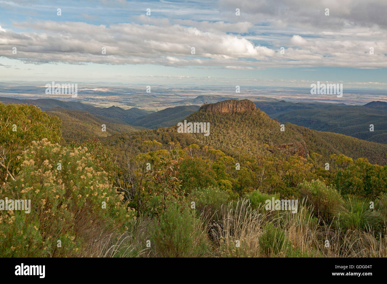 Atemberaubende Aussicht vom hohen Aussichtspunkt der weiten Landschaft von bewaldeten Bereichen und schroffen Gipfeln am Mount Kaputar National Park, Australien Stockfoto