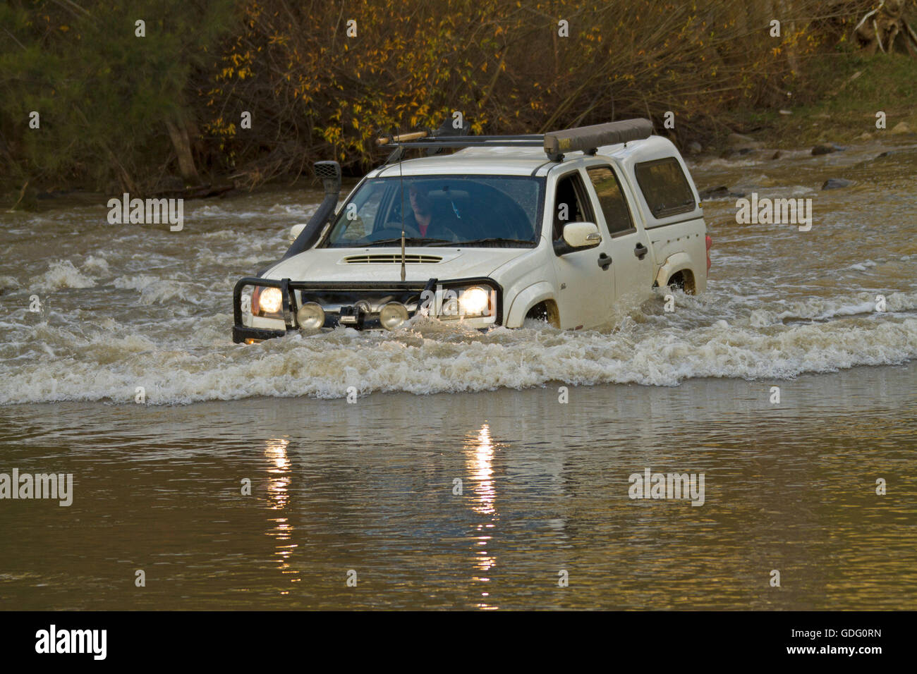 Allrad Fahrzeug mit Bugwelle weißen angeschnittene Ärmel Wasser machen gefährliche Überquerung der überfluteten Fluss in New South Wales zu schaffen. Australien Stockfoto