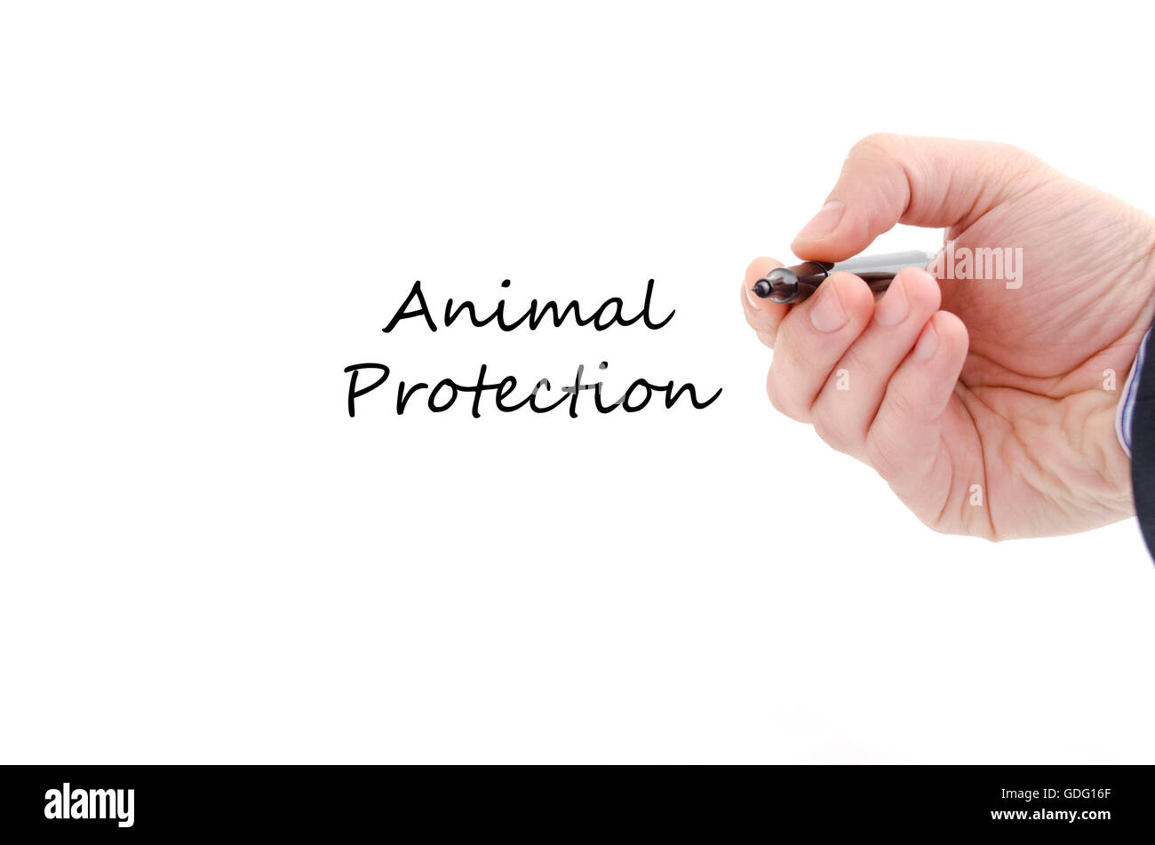 Tierschutz-Textkonzept isoliert auf weißem Hintergrund Stockfoto