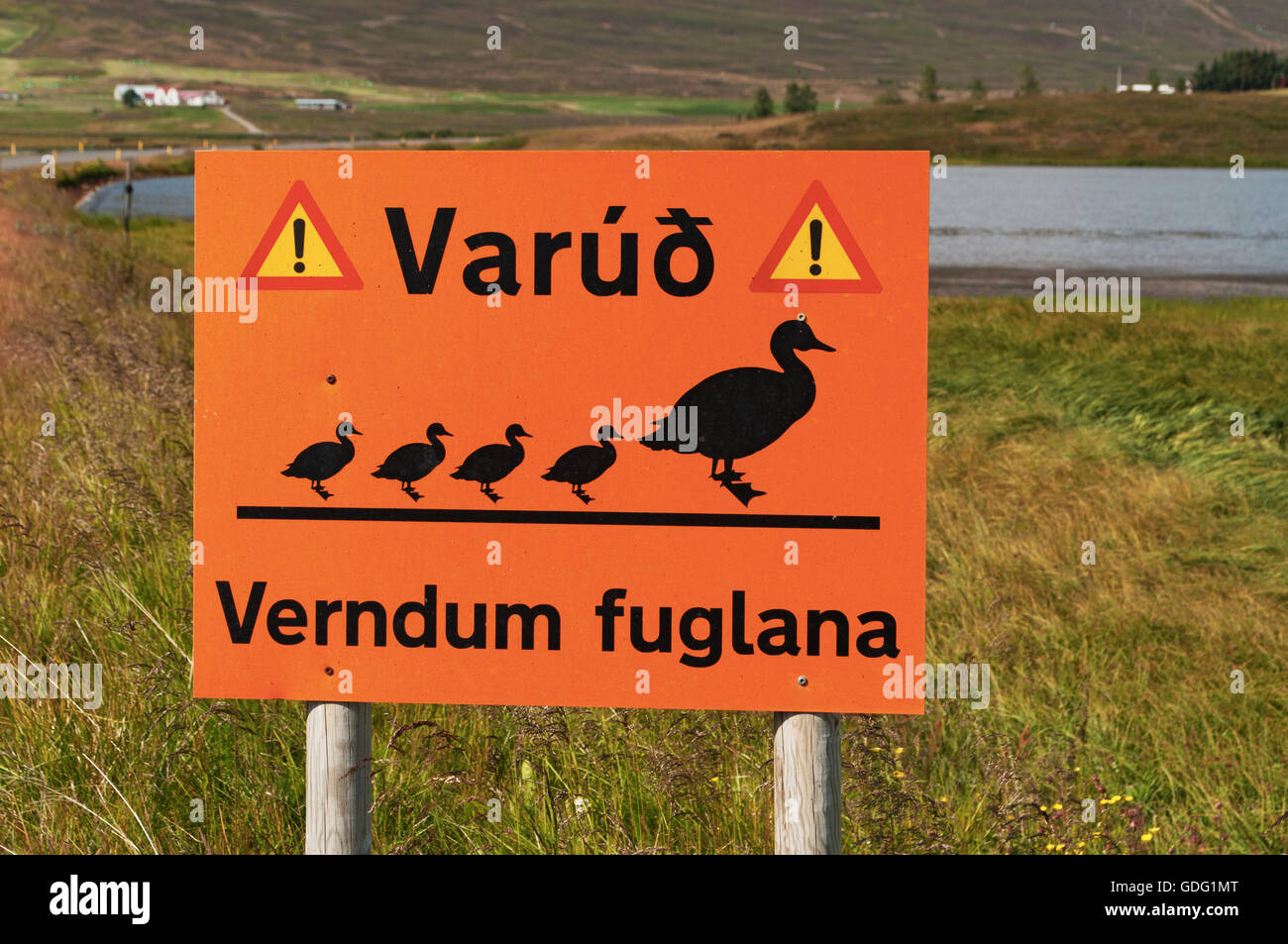 Island: Warnzeichen für die Passage von Enten in den Fjord von Akureyri, der Hauptstadt des Nordens Stockfoto