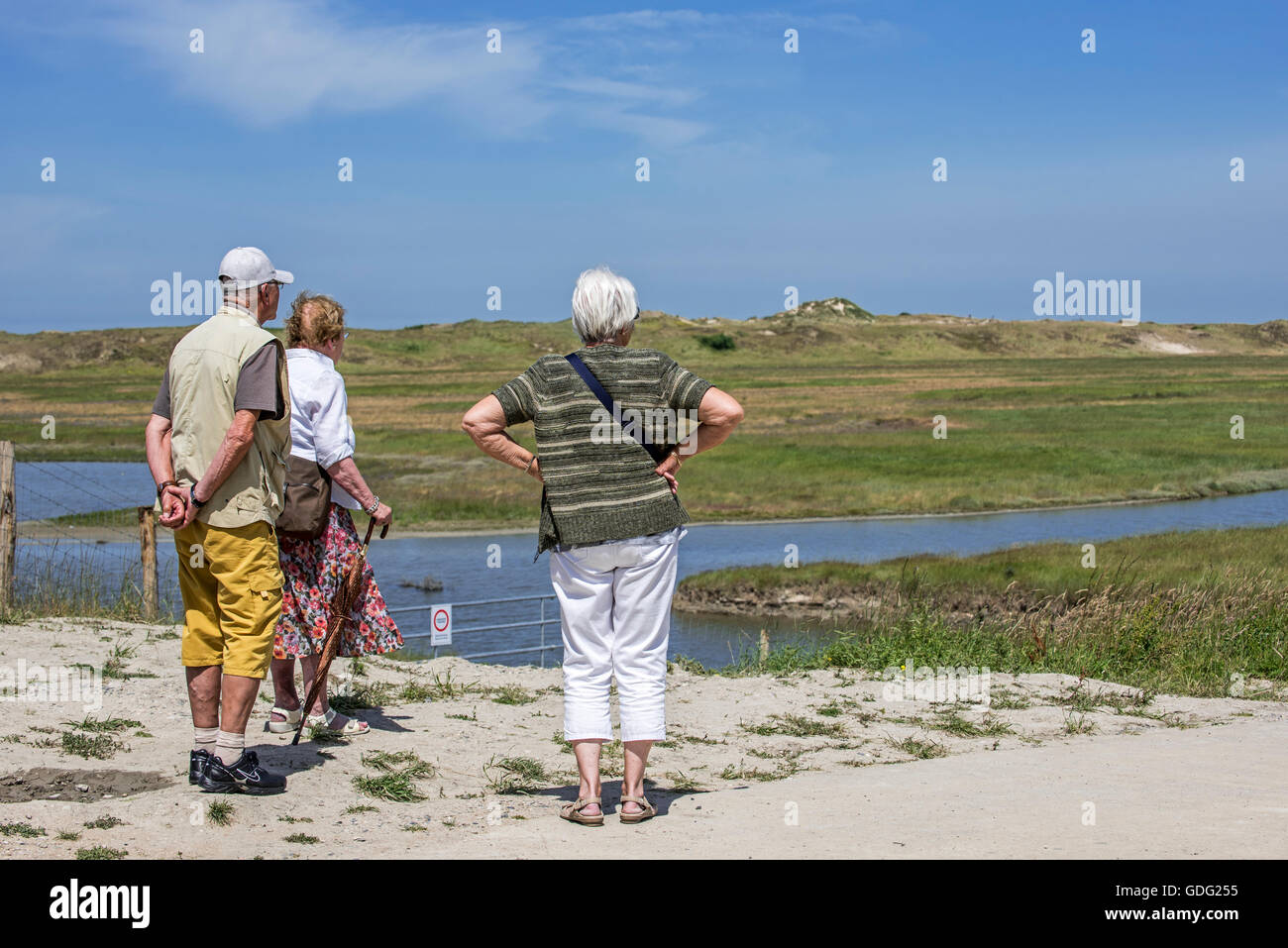 Ältere Besucher mit Blick auf Salzwiesen im Naturpark Zwin, Vogelschutzgebiet in Knokke-Heist, West-Flandern, Belgien Stockfoto
