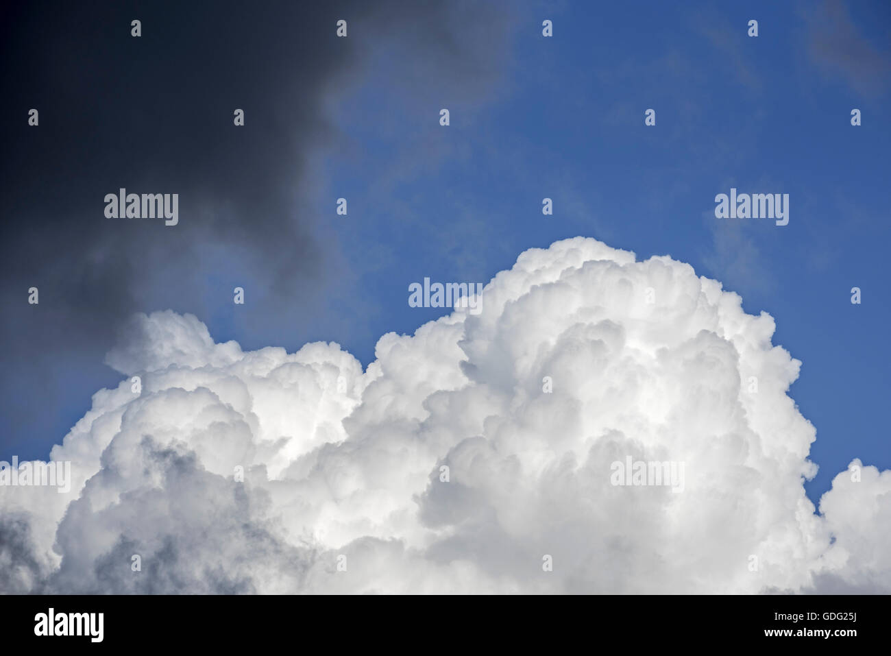 Cumulus Congestus / emporragende Cumulus-Wolke und schwarze Regenwolke deckt den blauen Himmel Stockfoto