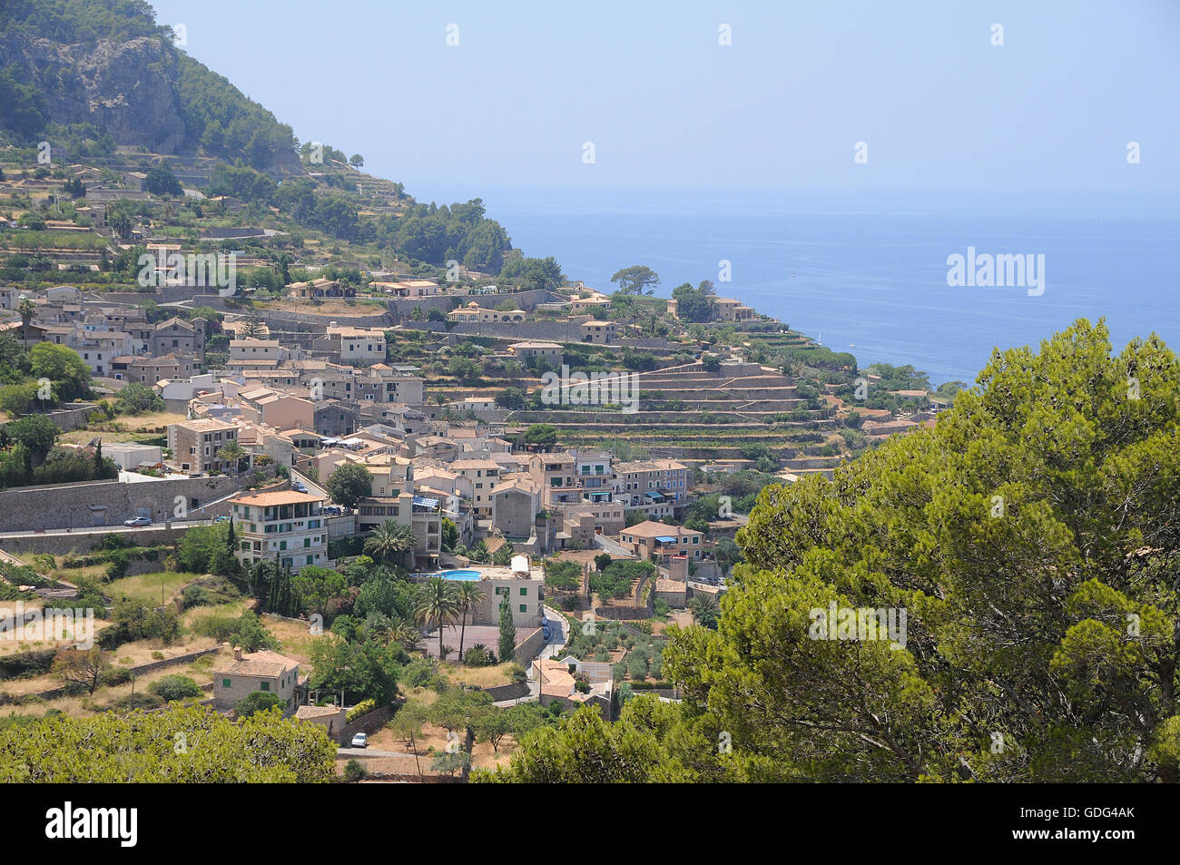 Mallorca, Mallorca, Balearen, Olivenbäume, Aussichtspunkt, Terrasse, Wein, Trauben Stockfoto