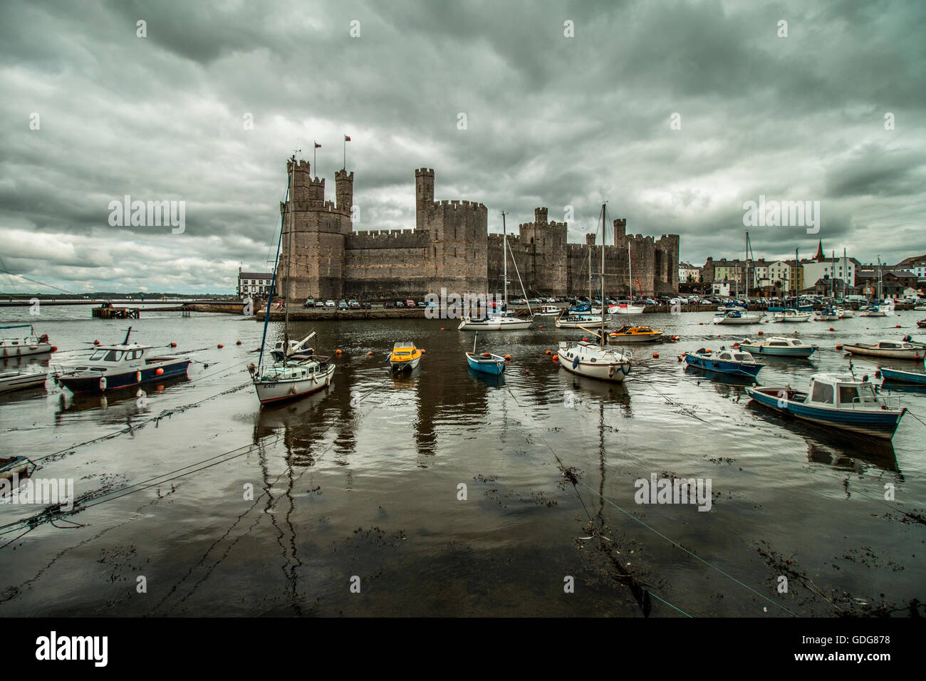 Caernarfon Castle bei Flut Stockfoto