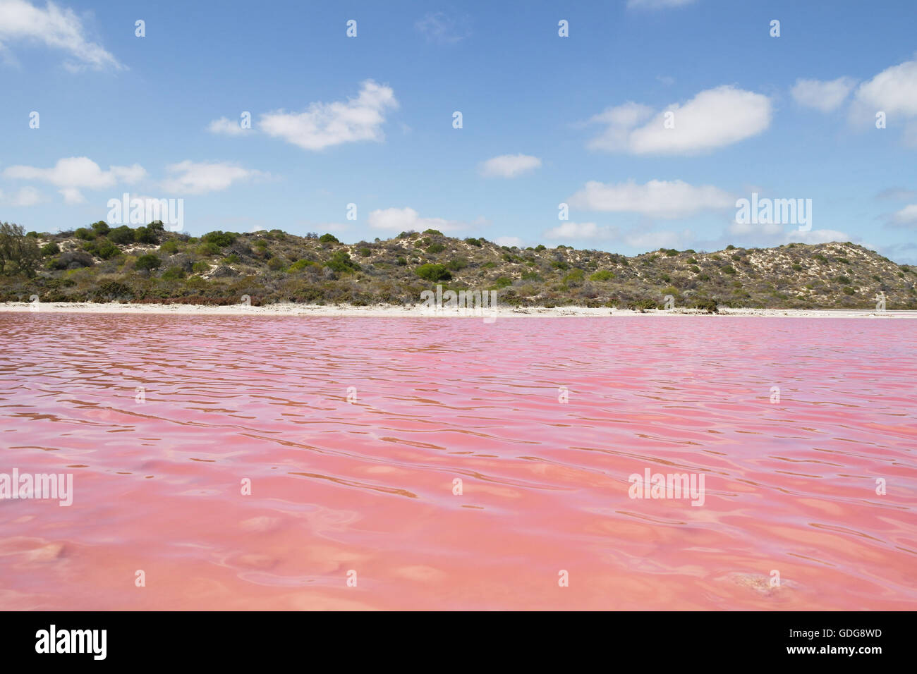 Pink Lake in der Nähe von Port Gregory in Western Australia - Australien Stockfoto