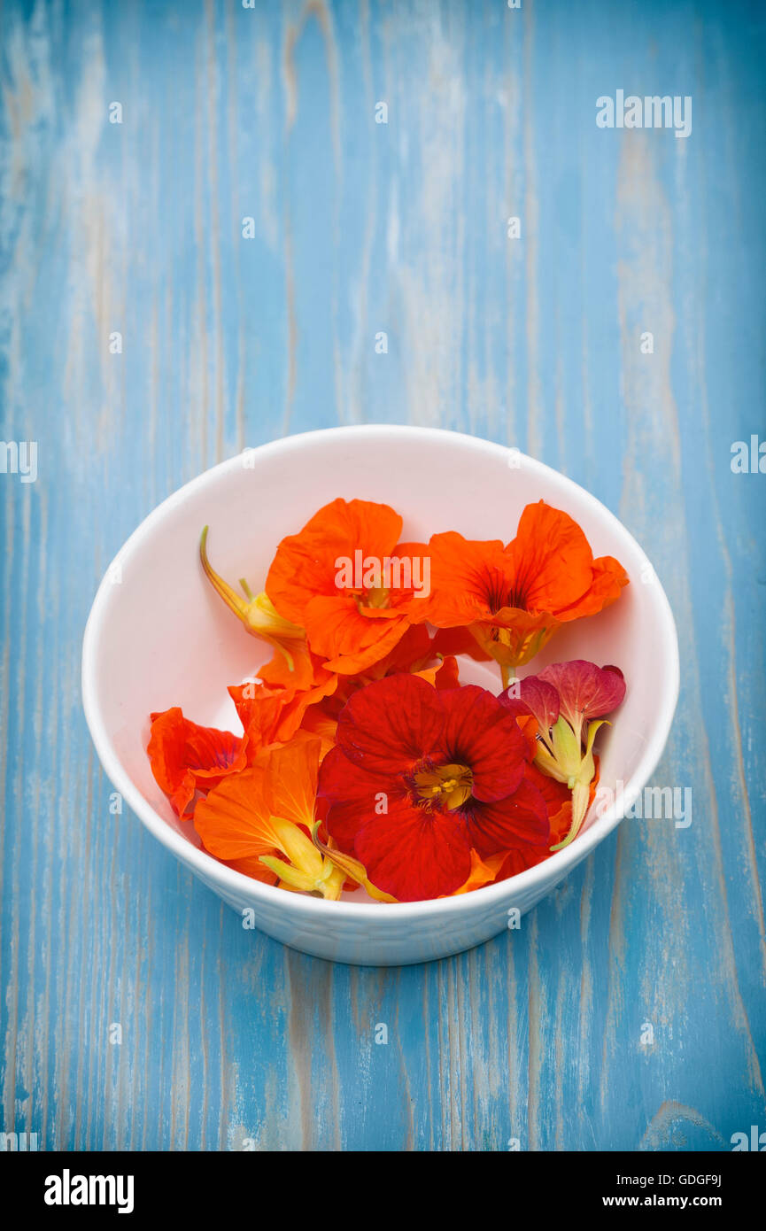 Tropaeolum Majus. Essbare Kapuzinerkresse Blüten auf einem Emaille Teller. Essbare Blumen Stockfoto