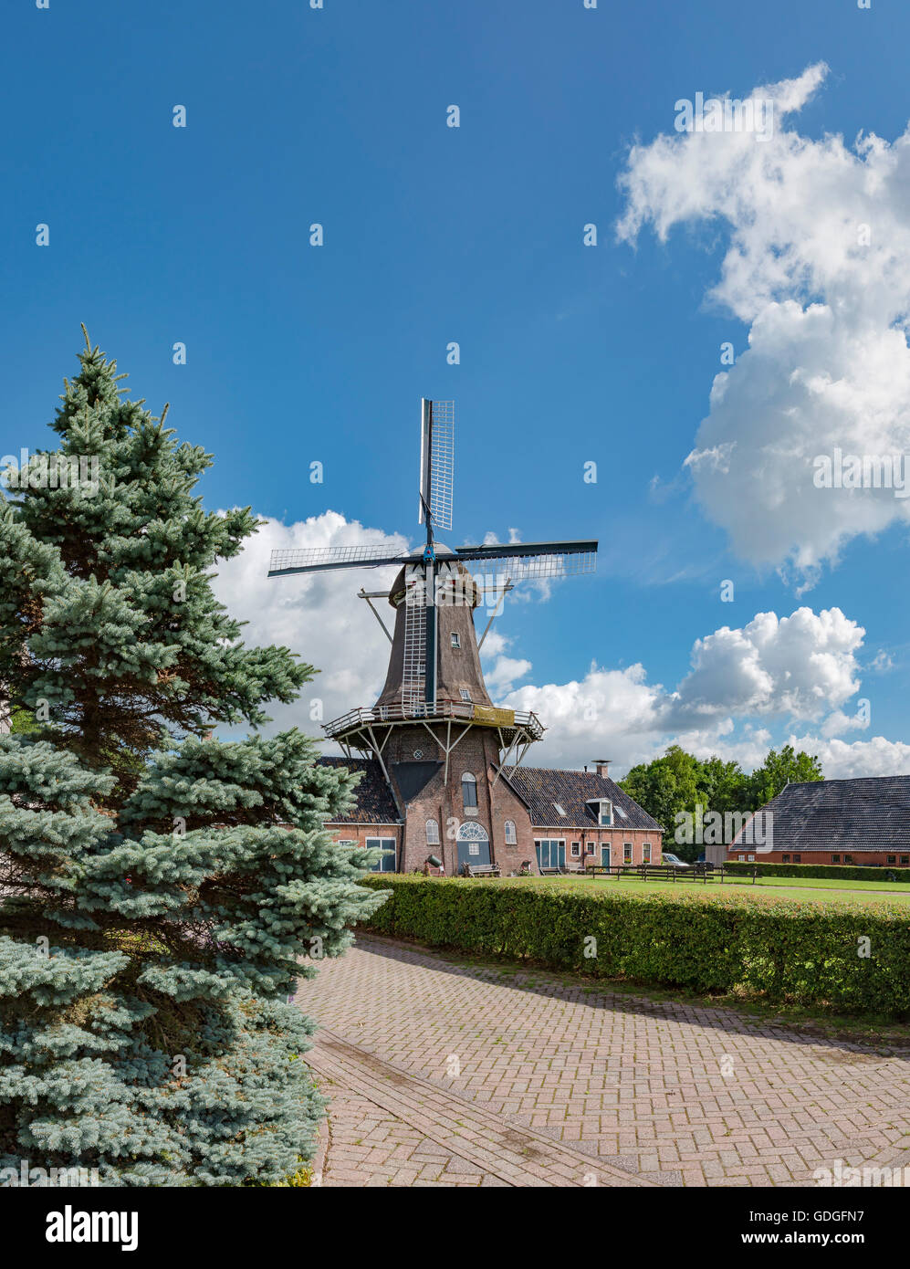 Roderwolde, Drenthe, Windmühle genannt Woldzigt Stockfoto