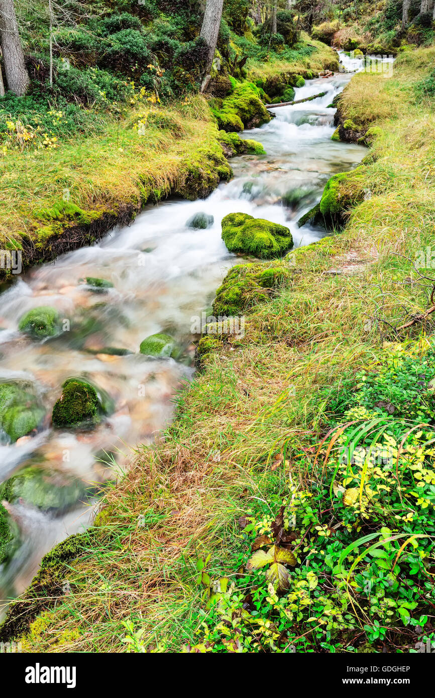 Natur, Landschaft, Fluss, Wasser, Schweiz, Wasserfall, Bergfluss Stockfoto