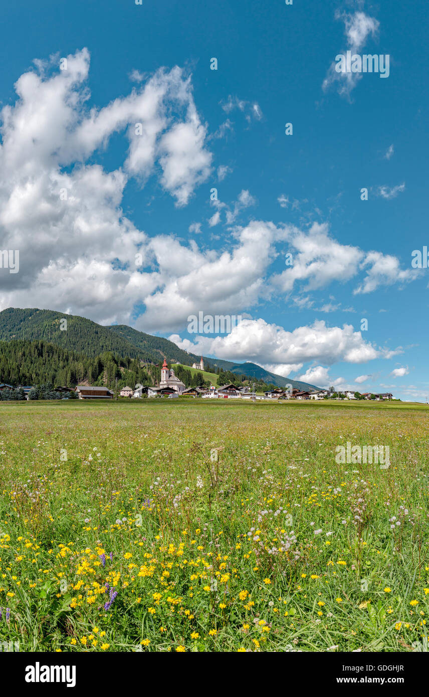 Strassen, Österreich, Wiesenblumen in das Drautal Stockfoto