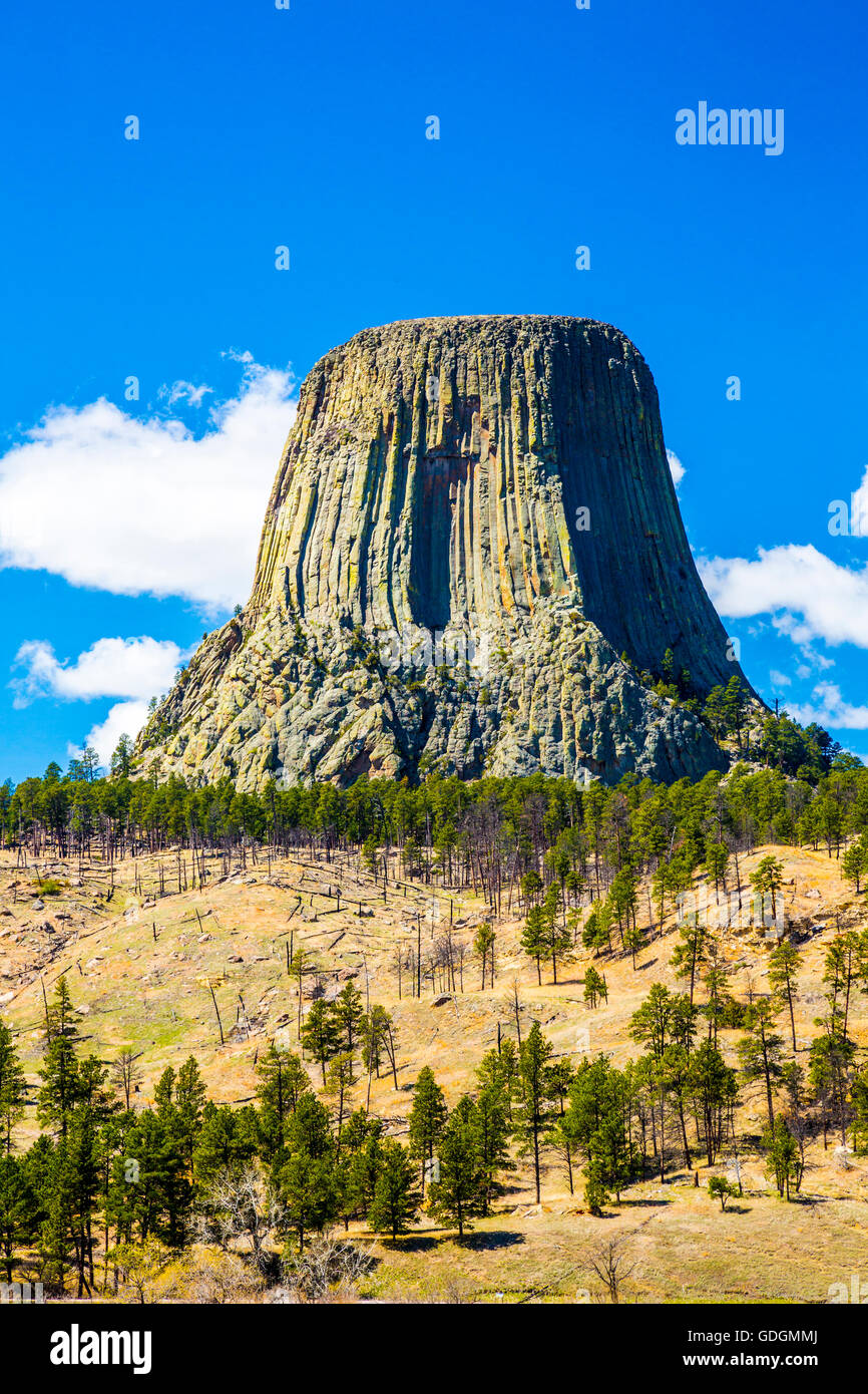 Devils Tower Crook County Wyoming USA Stockfoto